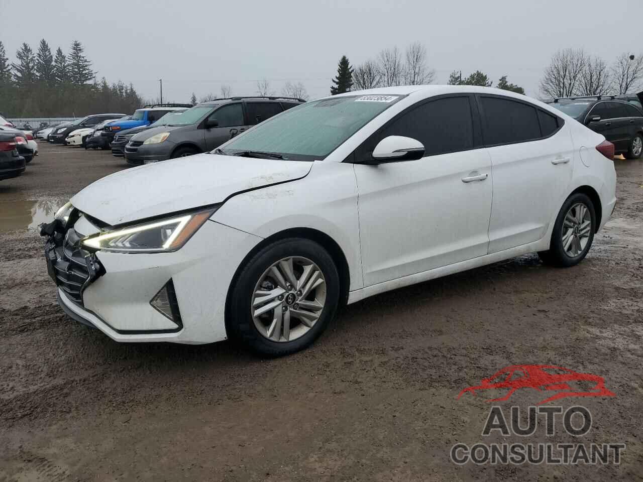 HYUNDAI ELANTRA 2020 - KMHD84LF0LU976208