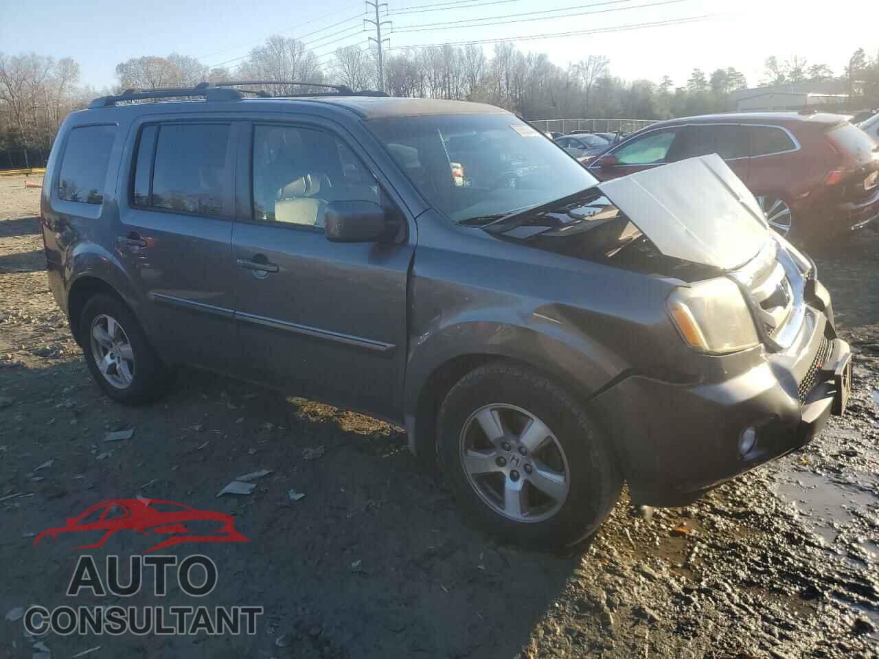 HONDA PILOT 2010 - 5FNYF4H59AB011946