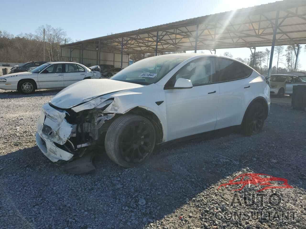 TESLA MODEL Y 2024 - 7SAYGAEE0RF983742