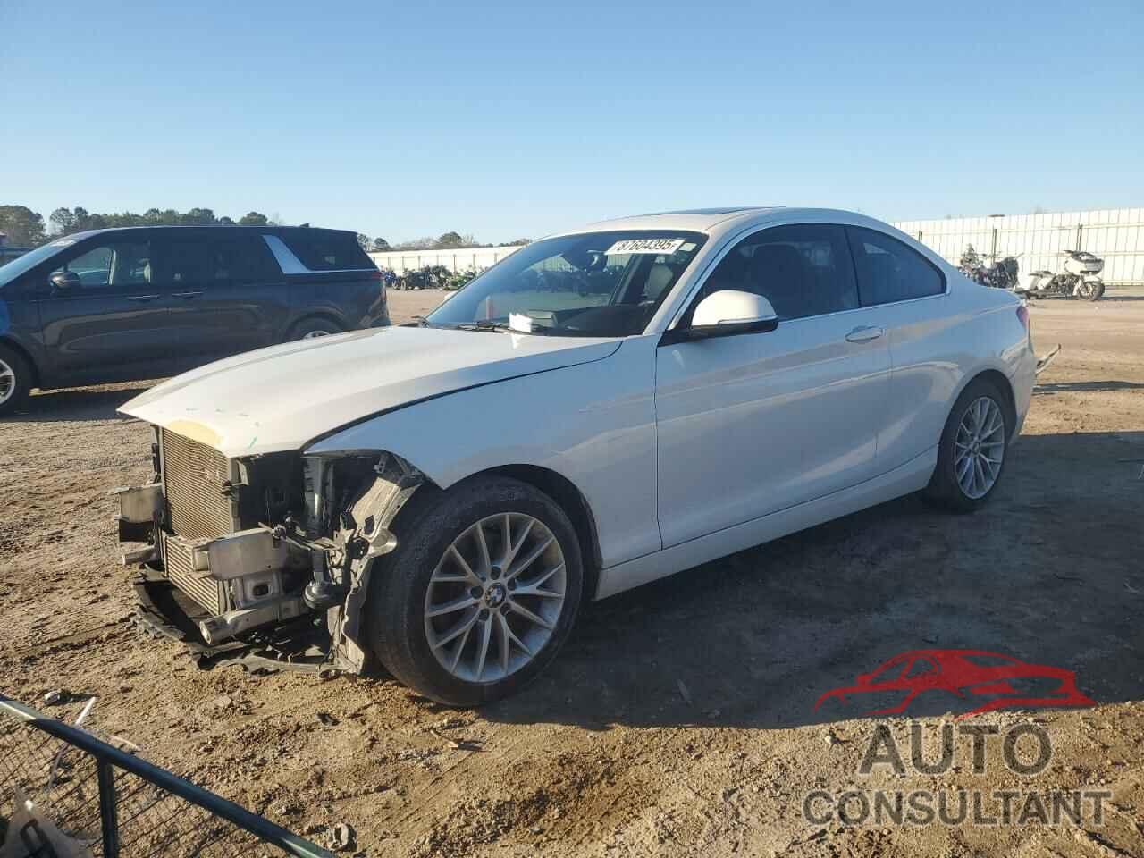 BMW 2 SERIES 2016 - WBA1F9C55GV544759