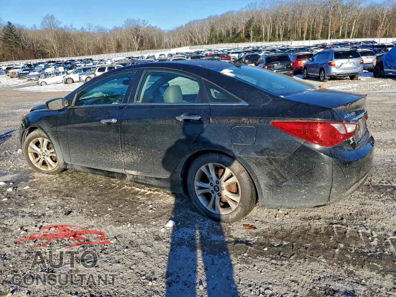 HYUNDAI SONATA 2011 - 5NPEC4AC5BH001096