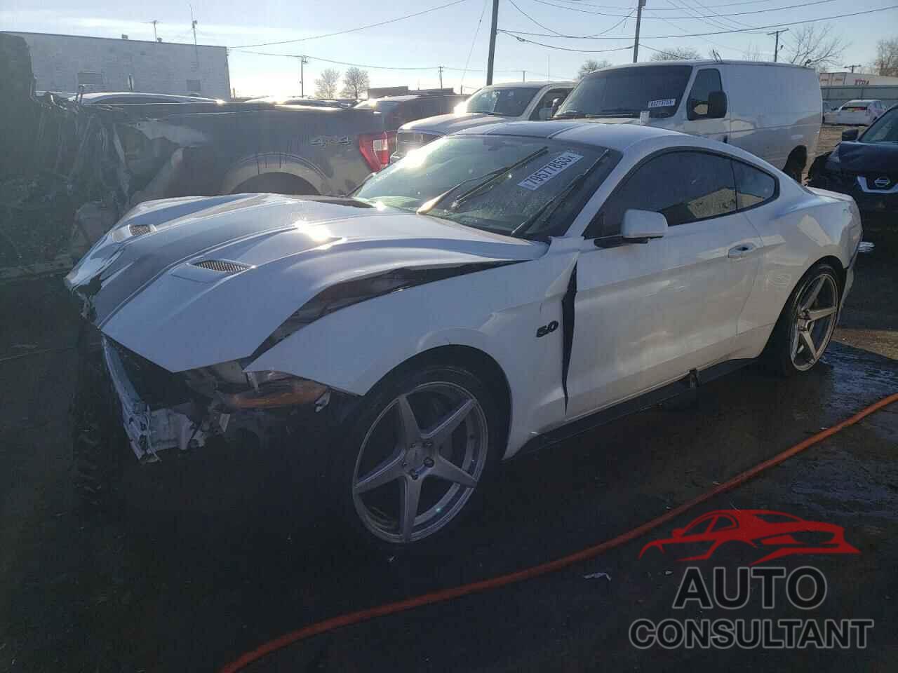 FORD MUSTANG 2019 - 1FA6P8CF3K5115062
