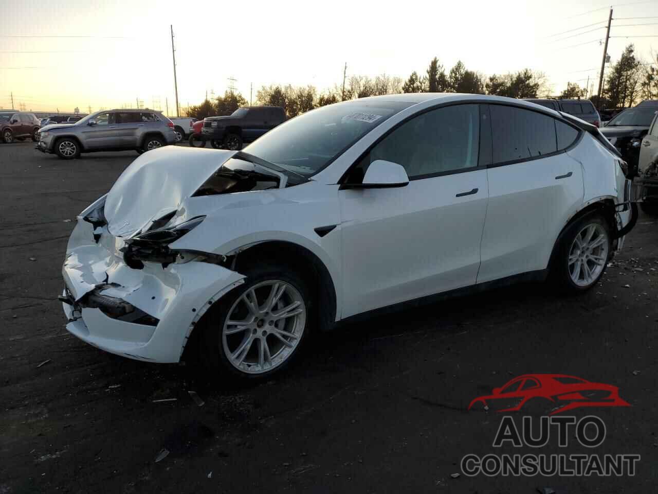 TESLA MODEL Y 2021 - 5YJYGDEE1MF187959