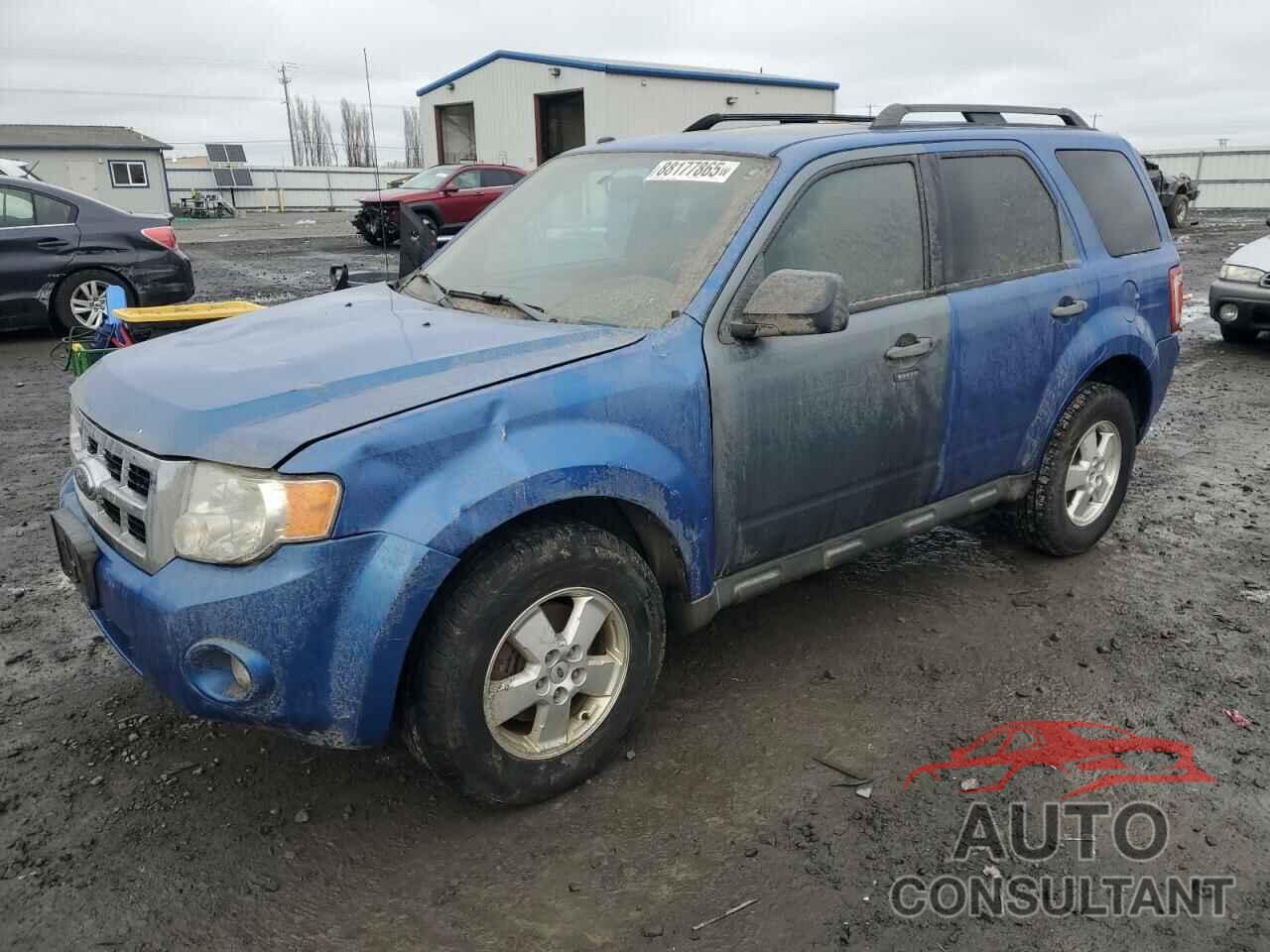 FORD ESCAPE 2011 - 1FMCU9DG7BKA44674