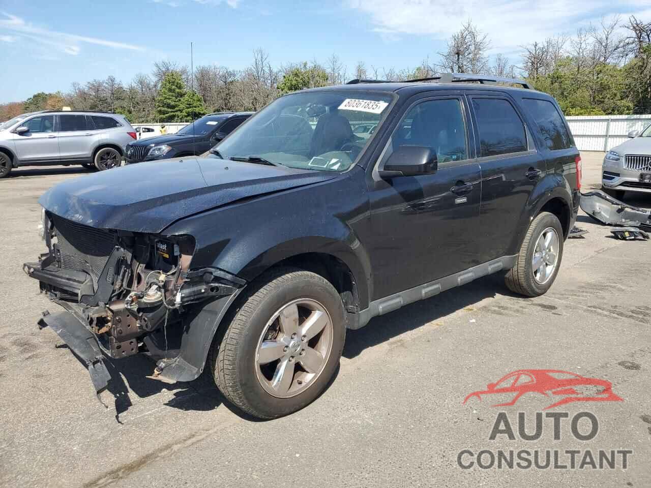 FORD ESCAPE 2011 - 1FMCU9EGXBKB00962