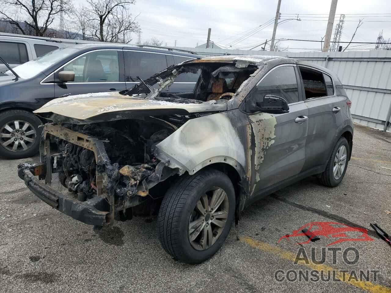 KIA SPORTAGE 2017 - KNDPMCAC7H7173207