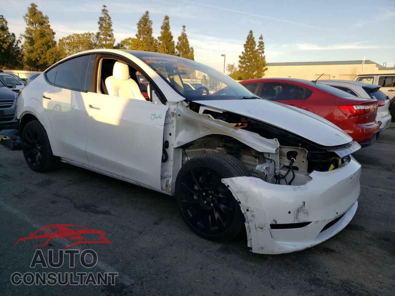 TESLA MODEL Y 2022 - 7SAYGDEE2NF438847
