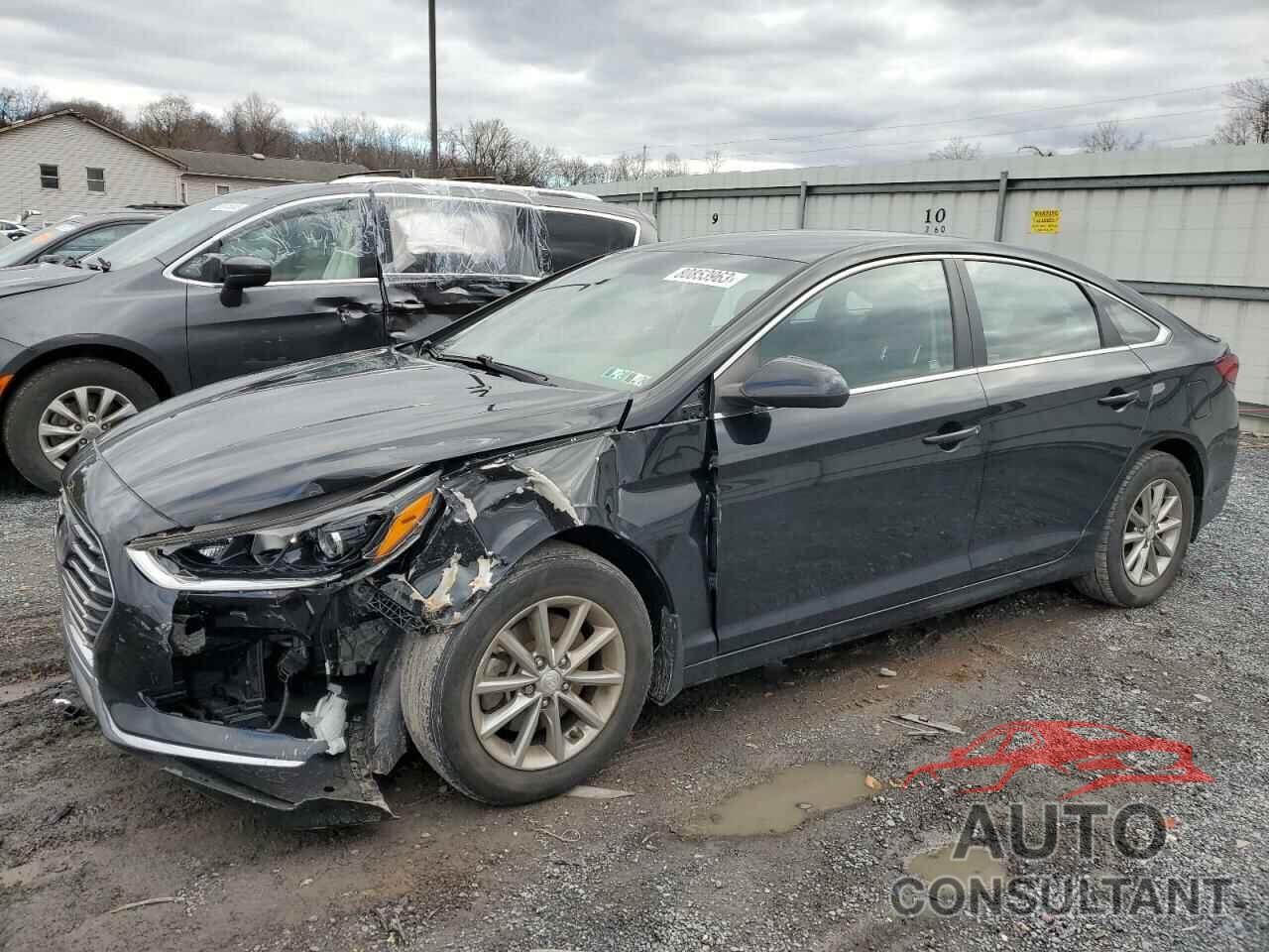 HYUNDAI SONATA 2019 - 5NPE24AF9KH734992