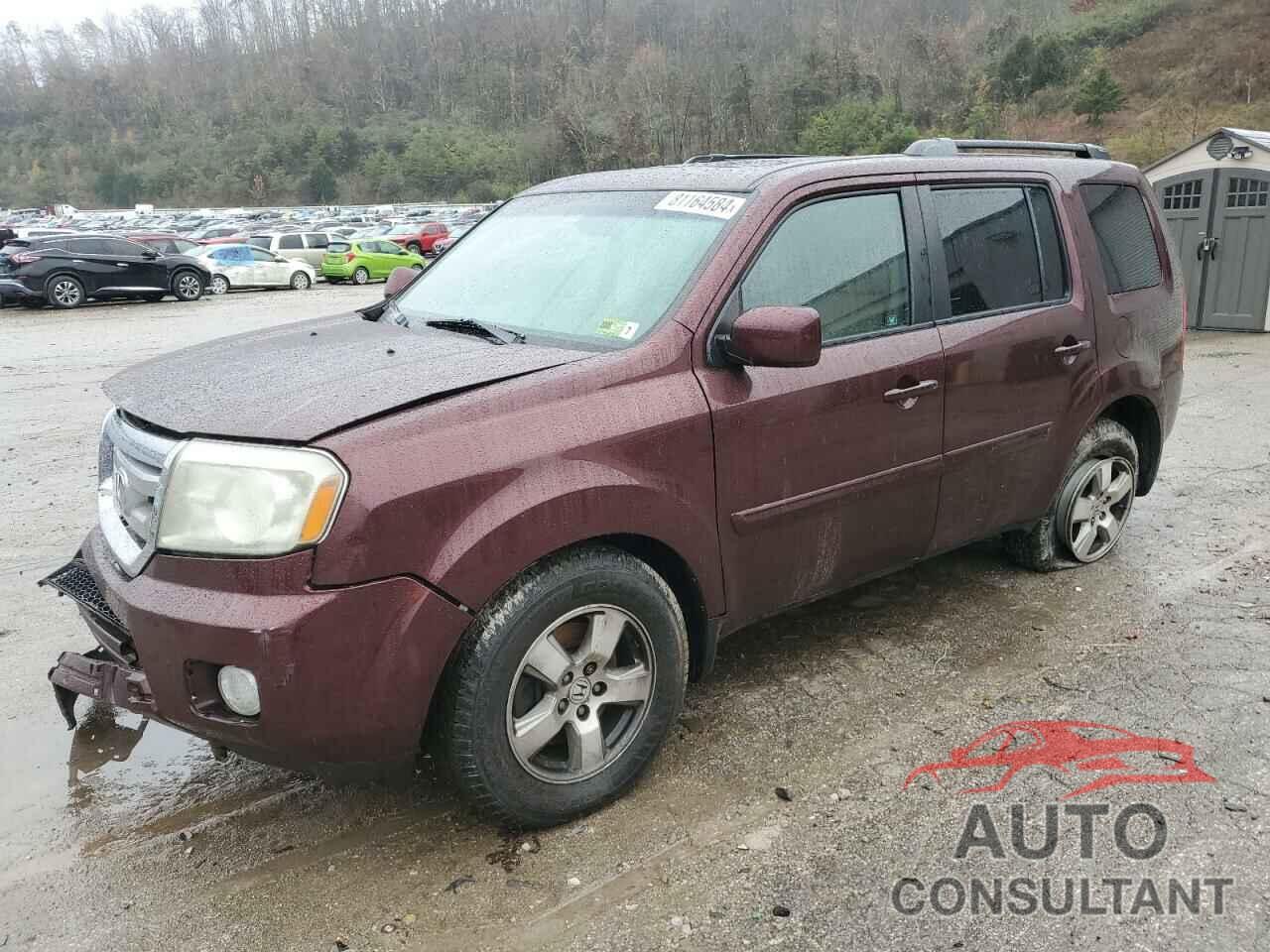 HONDA PILOT 2011 - 5FNYF4H5XBB051440