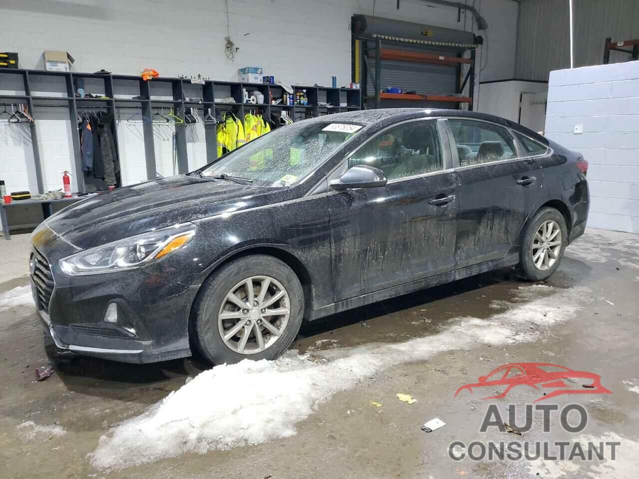 HYUNDAI SONATA 2018 - 5NPE24AF4JH709920