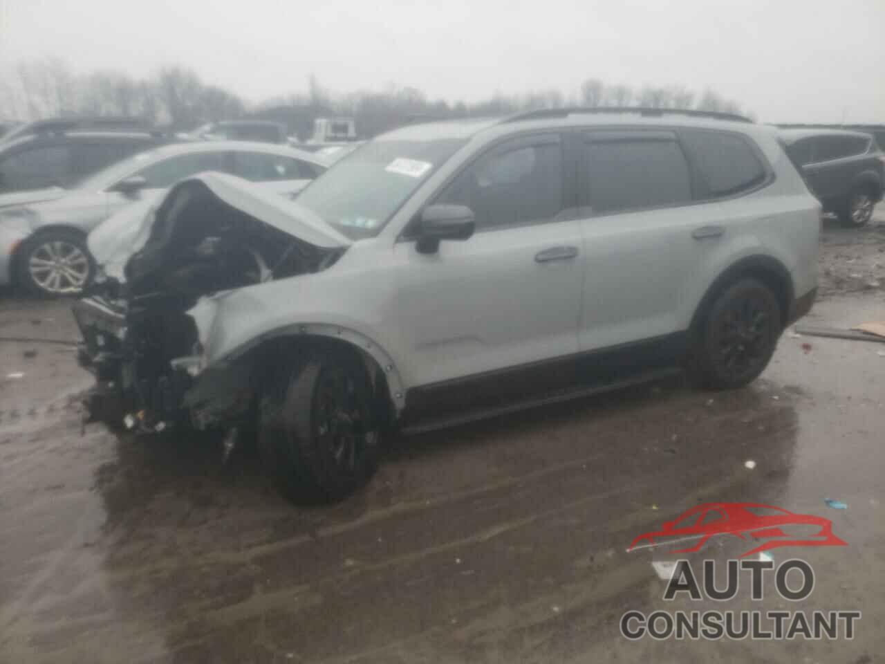 KIA TELLURIDE 2024 - 5XYP5DGC6RG486649