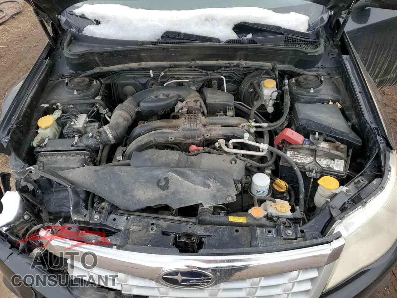 SUBARU FORESTER 2011 - JF2SHBBC8BH769405