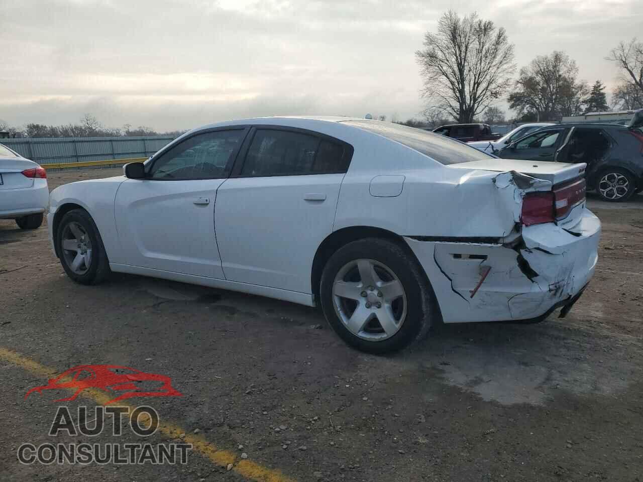 DODGE CHARGER 2013 - 2C3CDXAG2DH574224