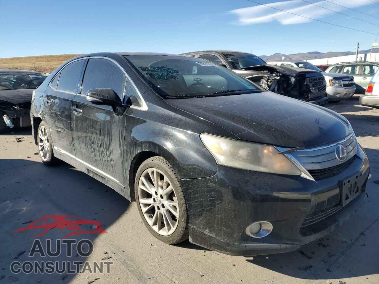 LEXUS HS 2010 - JTHBB1BA6A2005920