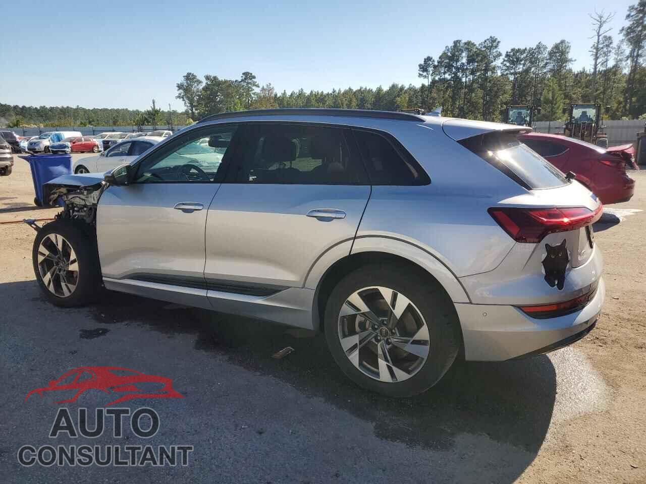 AUDI E-TRON 2022 - WA1AAAGE8NB033519
