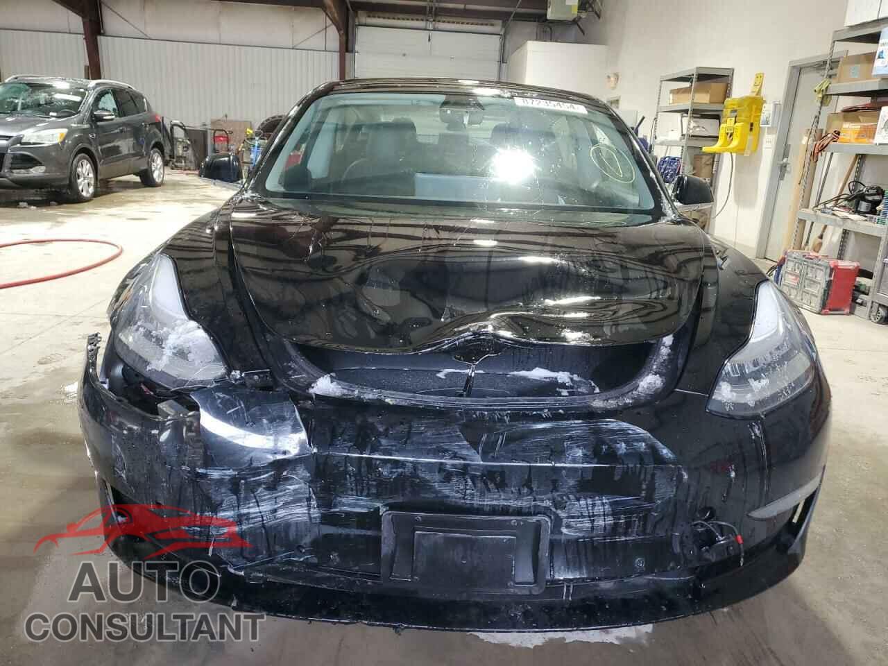 TESLA MODEL 3 2019 - 5YJ3E1EB6KF208824