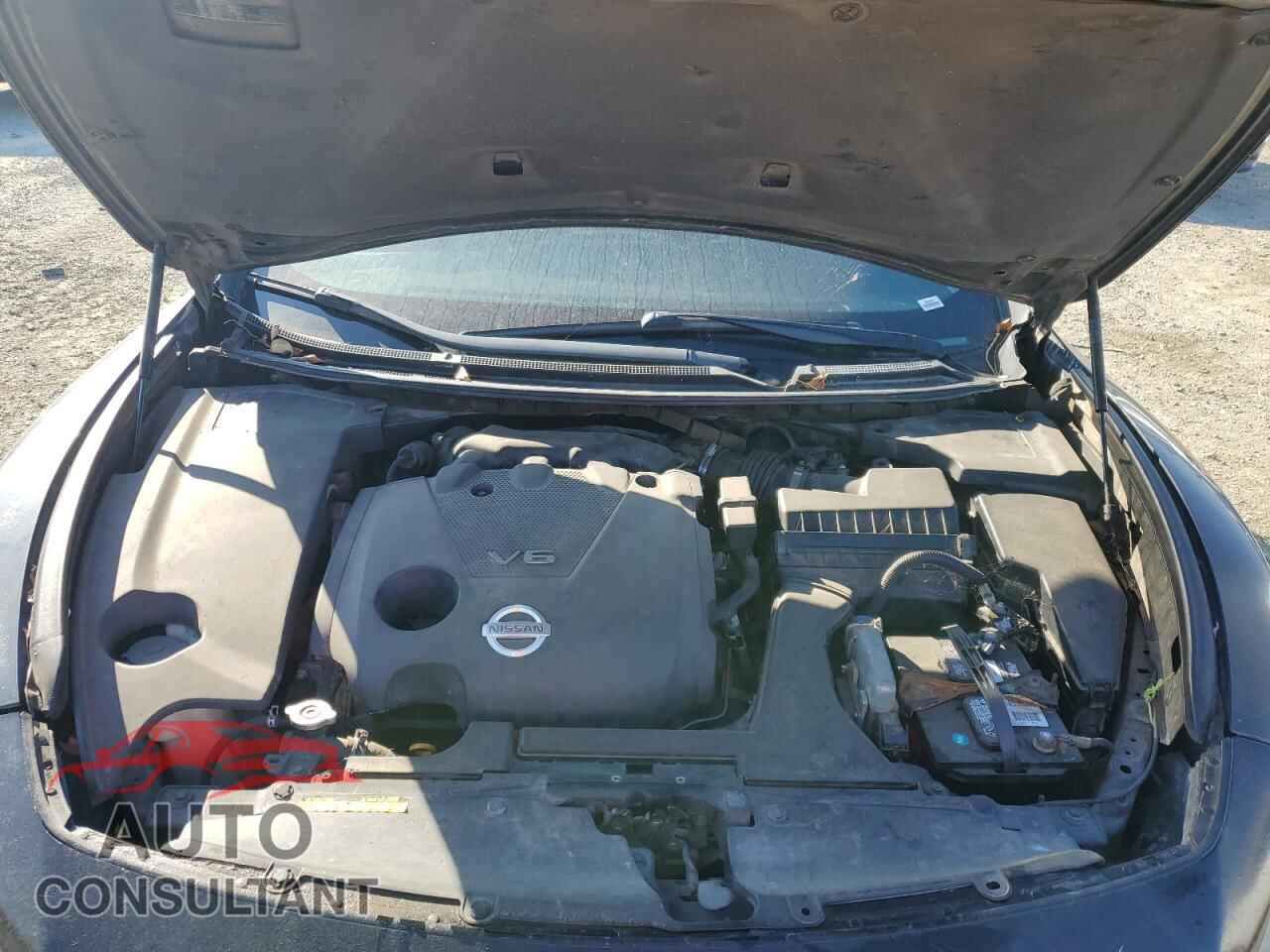 NISSAN MAXIMA 2009 - 1N4AA51E99C827280