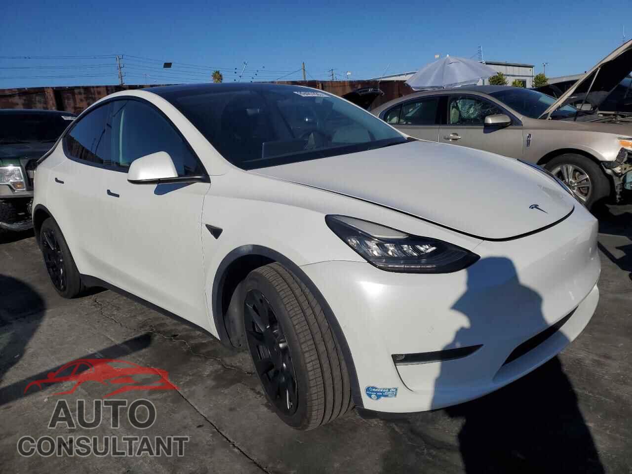 TESLA MODEL Y 2021 - 5YJYGDEE3MF160908