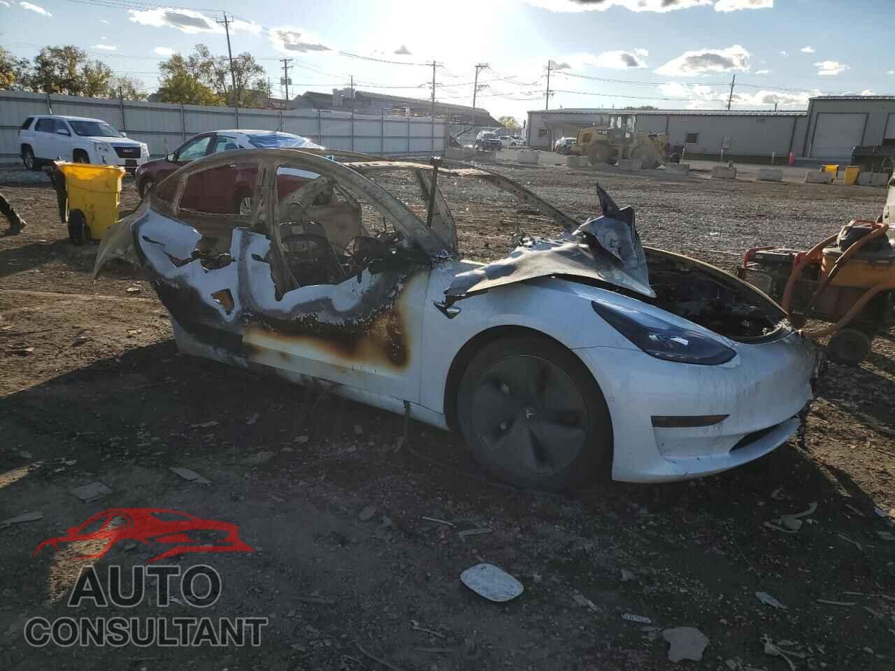 TESLA MODEL 3 2019 - 5YJ3E1EA5KF483902
