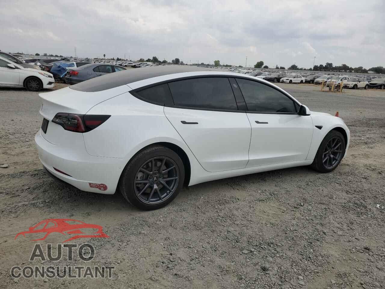 TESLA MODEL 3 2021 - 5YJ3E1EA5MF063527