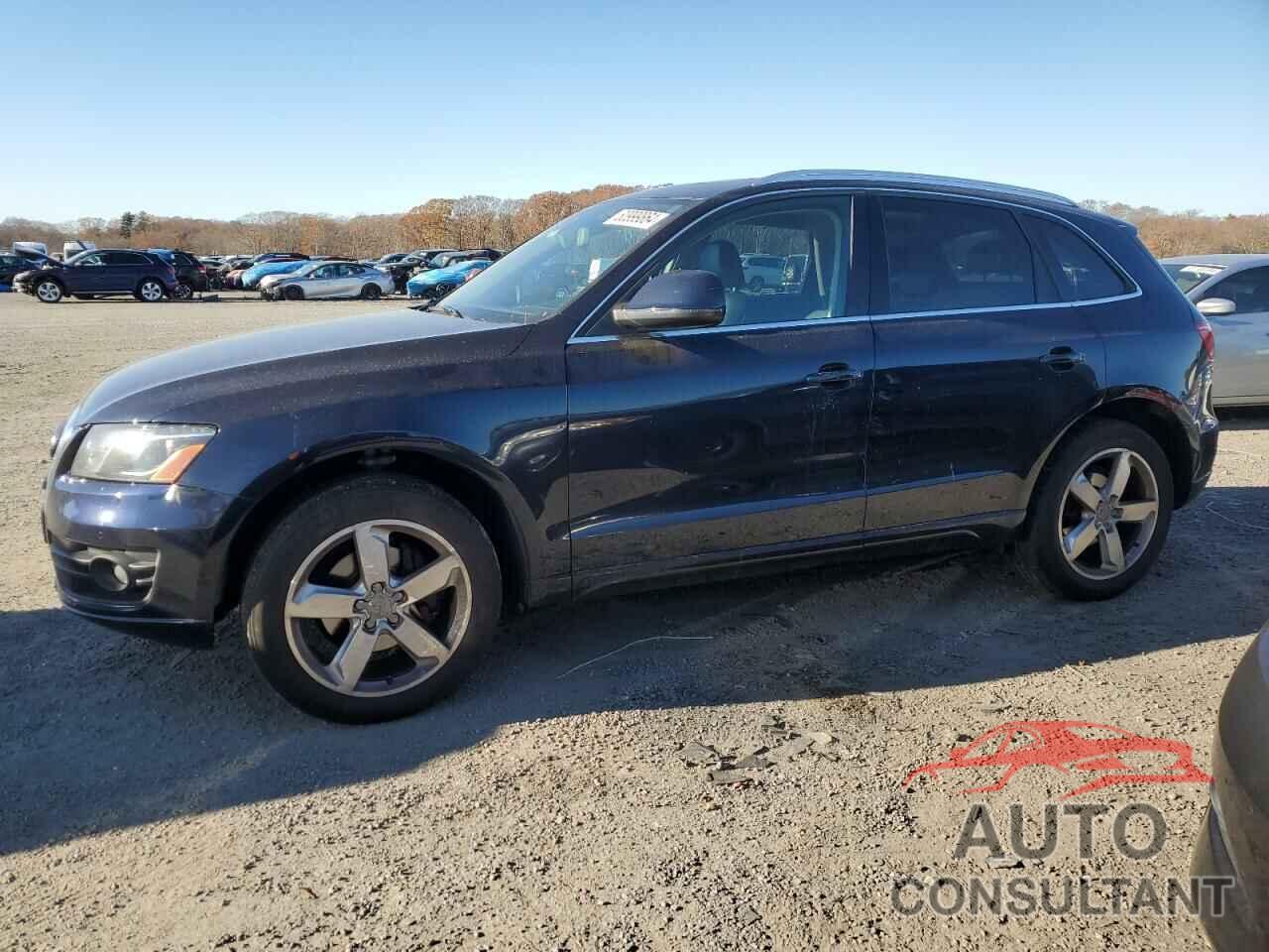 AUDI Q5 2011 - WA1LFAFPXBA012542