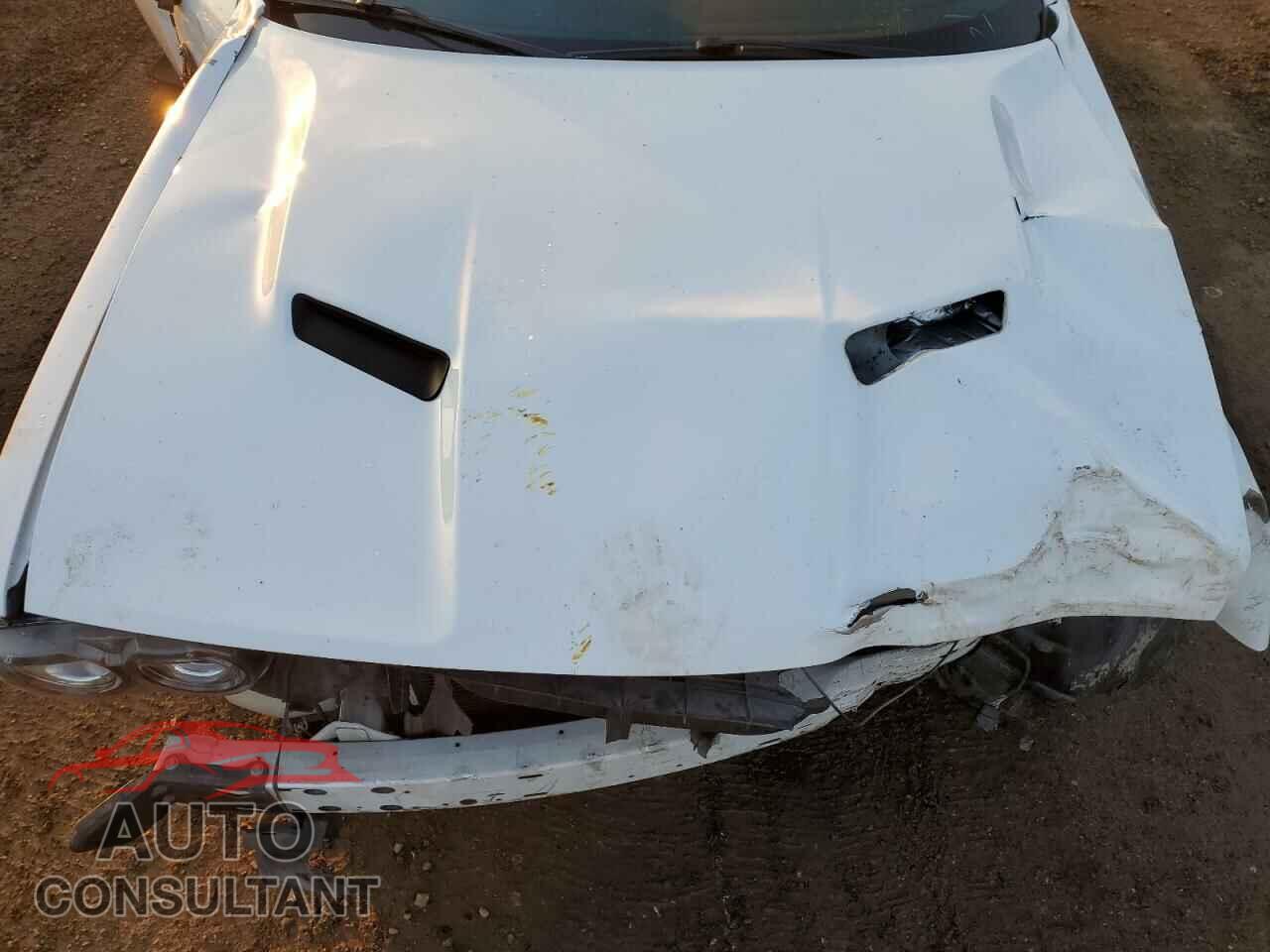 DODGE CHALLENGER 2018 - 2C3CDZBTXJH334549