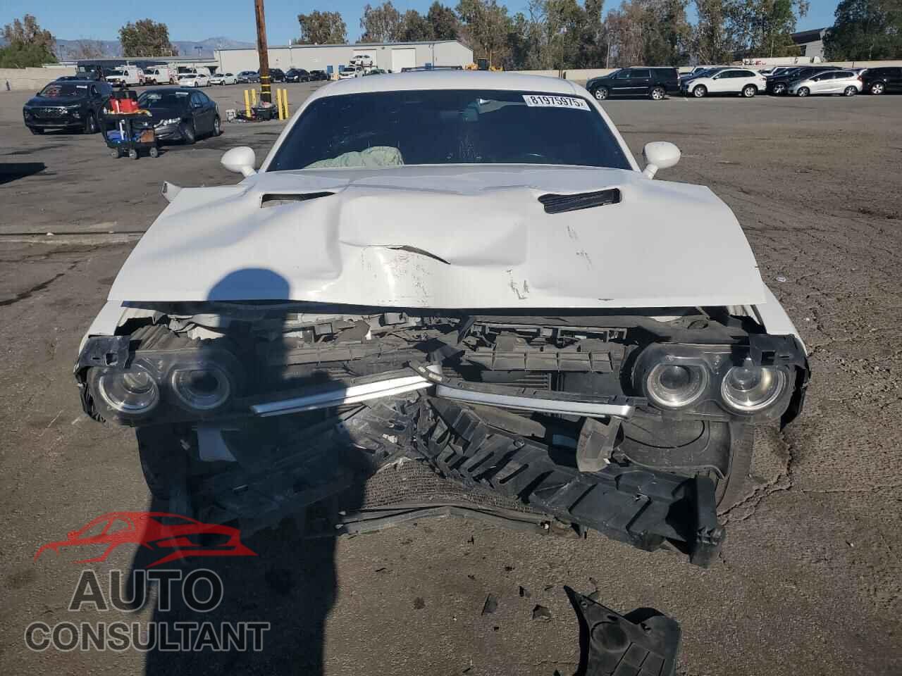 DODGE CHALLENGER 2019 - 2C3CDZAG4KH677461