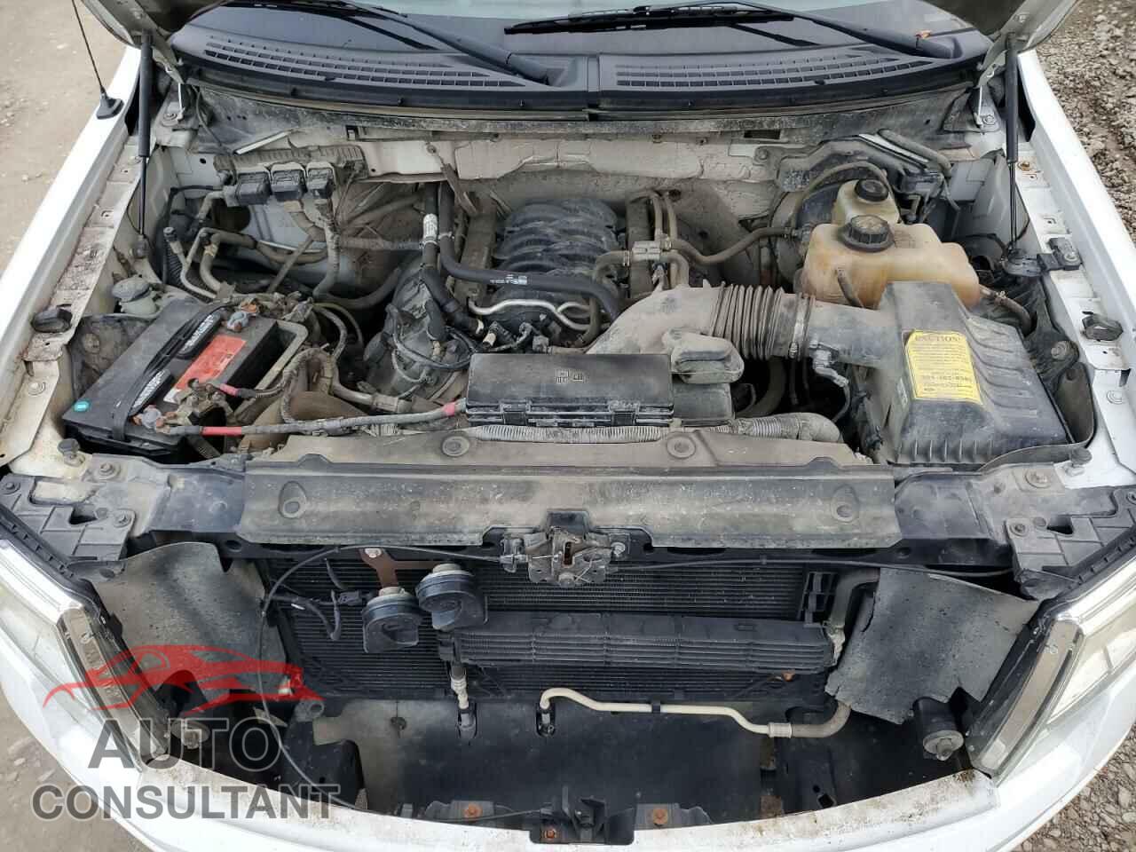 FORD F-150 2013 - 1FTFX1EF9DFD70309