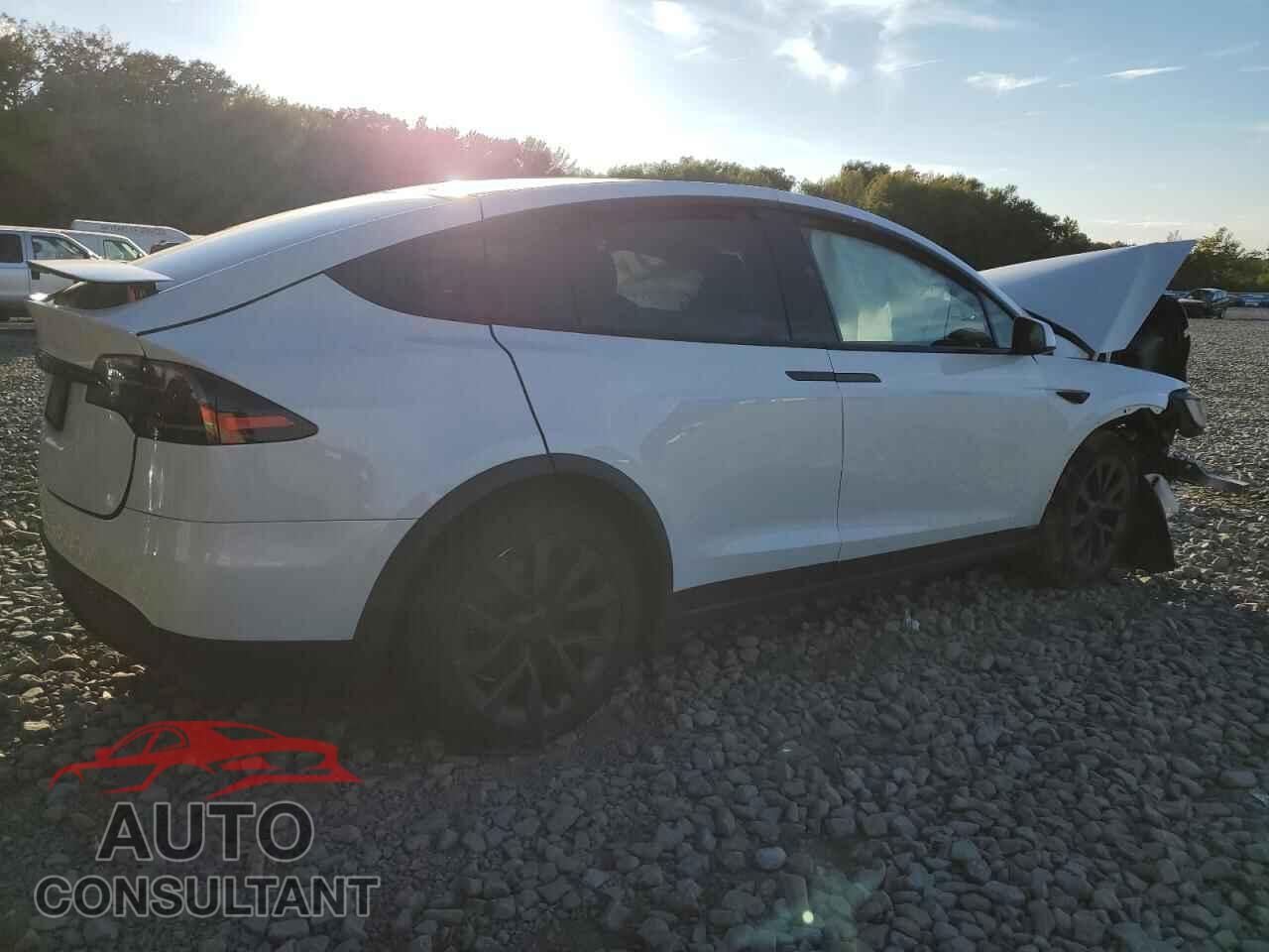 TESLA MODEL X 2024 - 7SAXCBE54RF459703