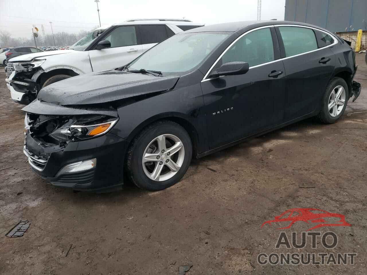 CHEVROLET MALIBU 2019 - 1G1ZC5ST9KF135618
