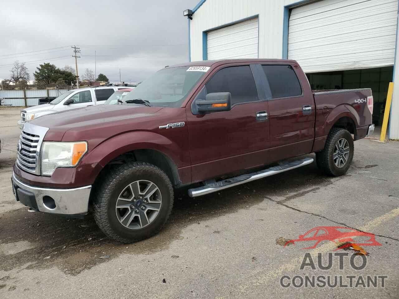 FORD F-150 2010 - 1FTEW1E81AFA49165