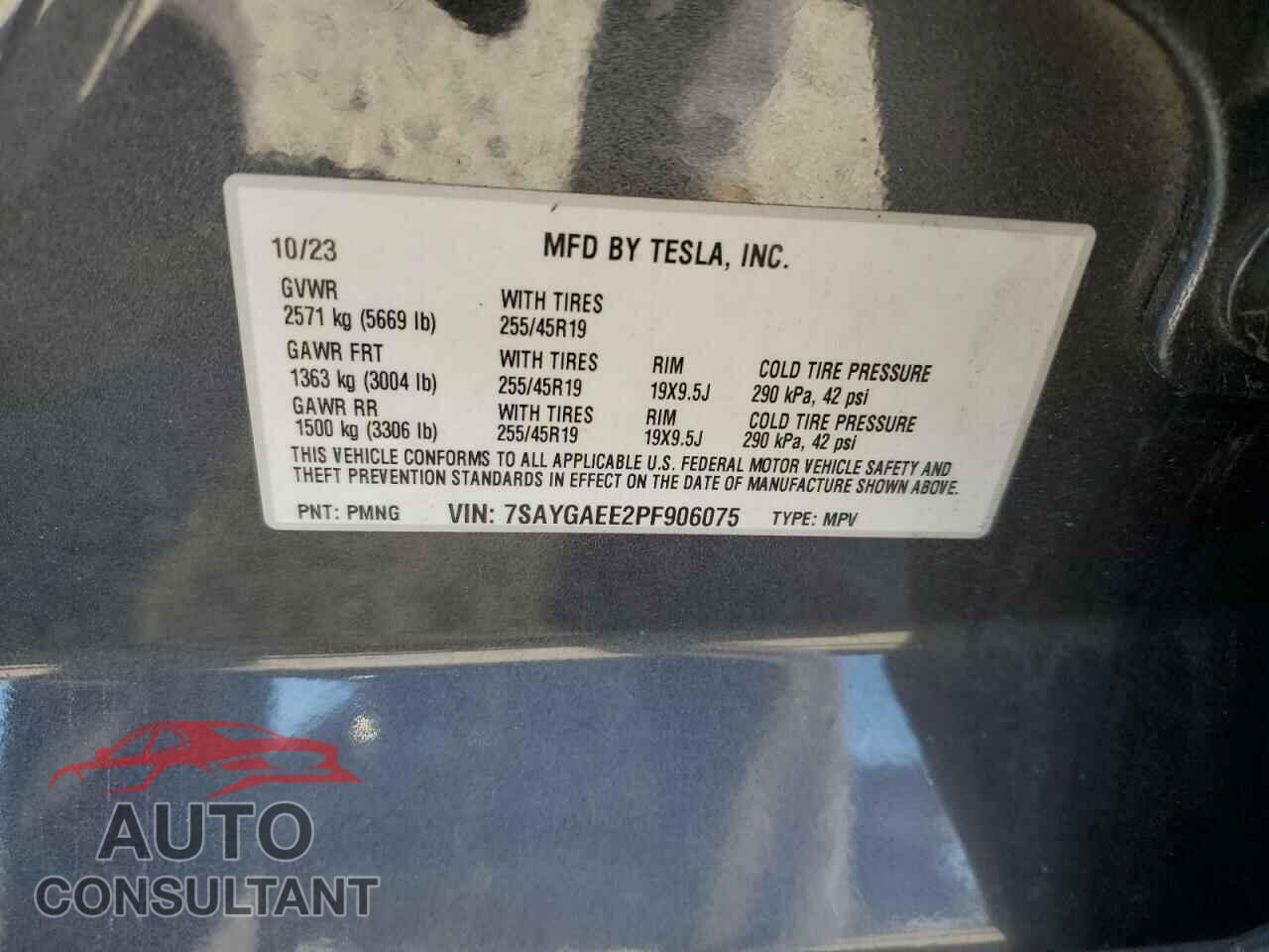 TESLA MODEL Y 2023 - 7SAYGAEE2PF906075