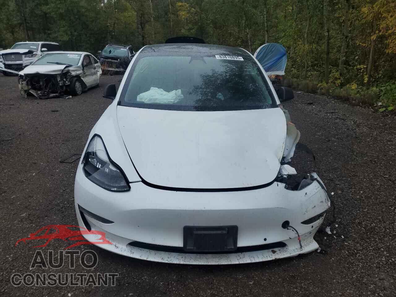 TESLA MODEL 3 2019 - 5YJ3E1EA2KF480455
