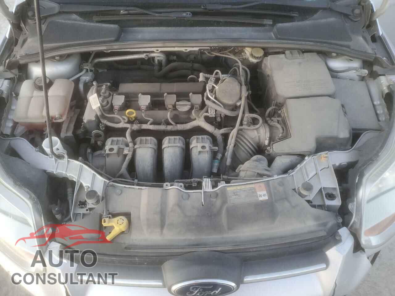 FORD FOCUS 2013 - 1FADP3E21DL221013