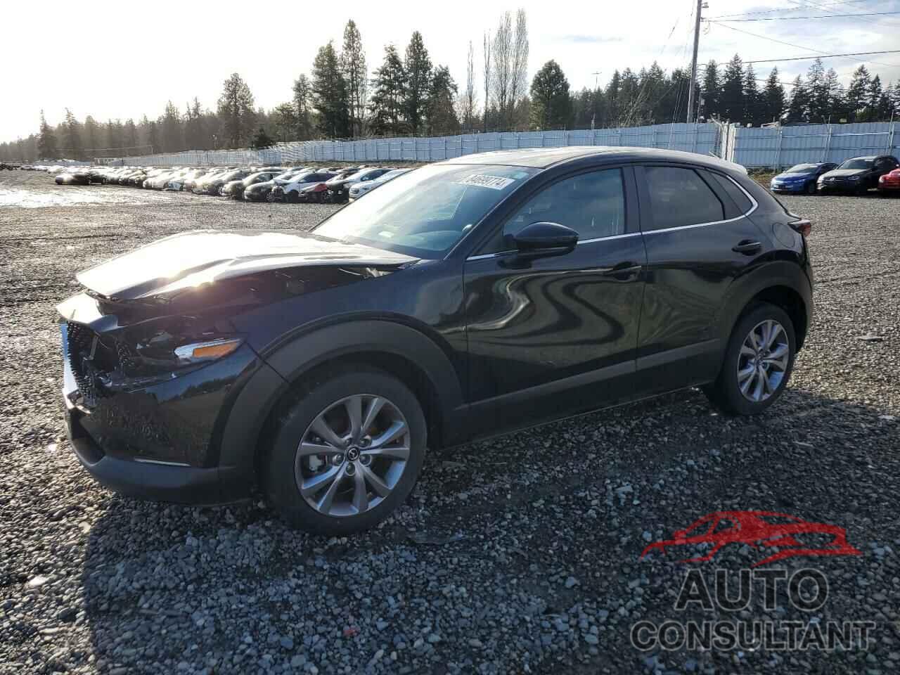 MAZDA CX30 2021 - 3MVDMBBL7MM203431