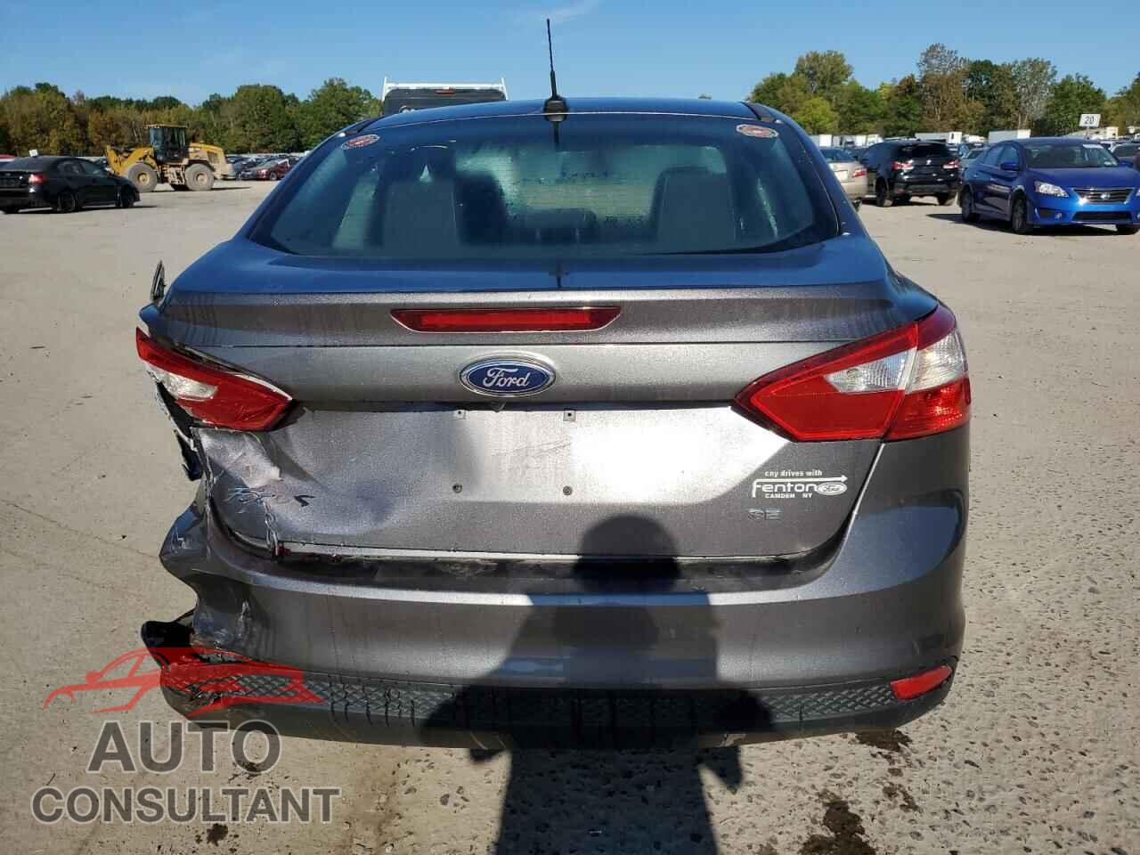 FORD FOCUS 2014 - 1FADP3F25EL366300