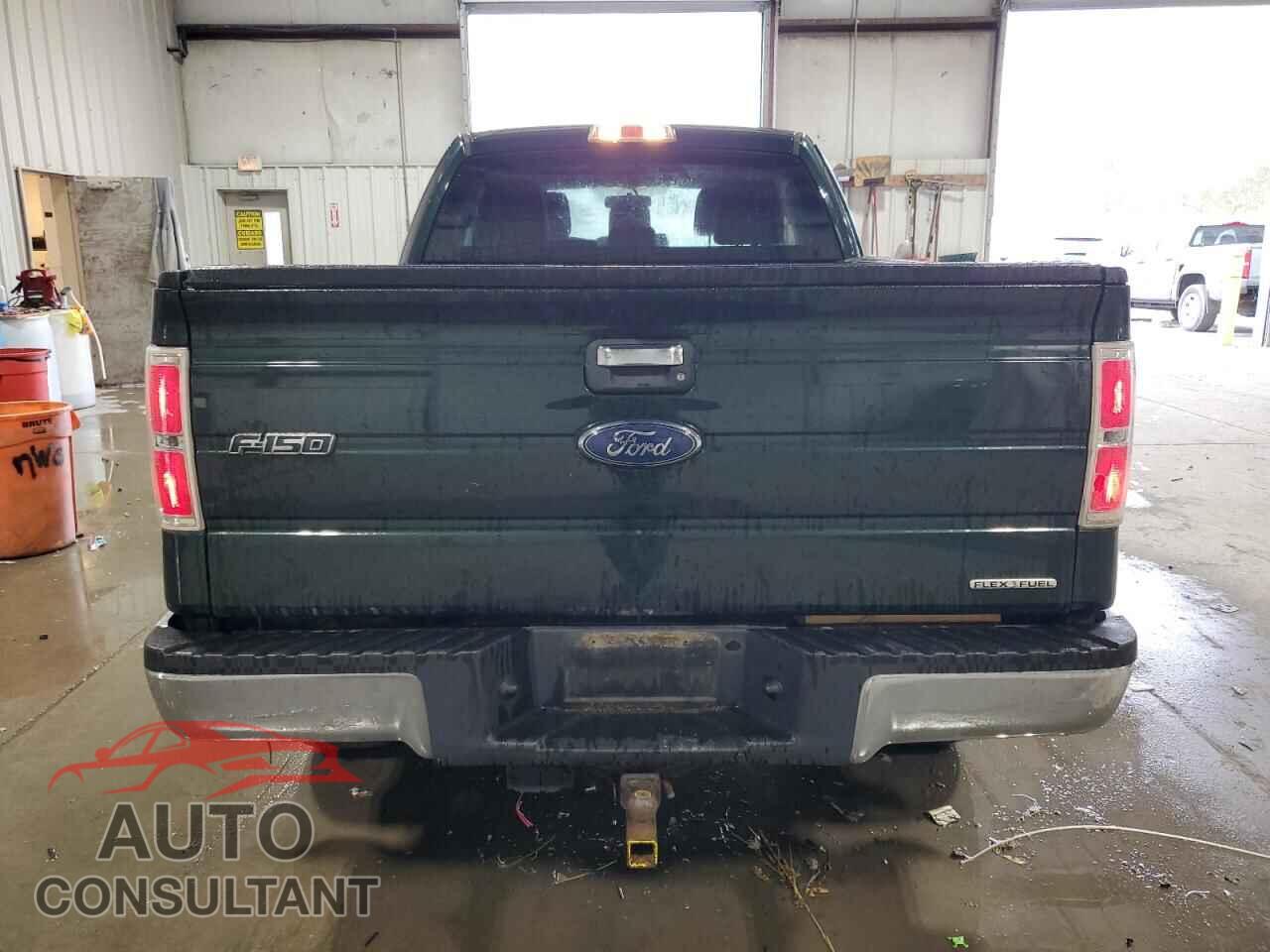 FORD F-150 2013 - 1FTFX1EF6DFC93379