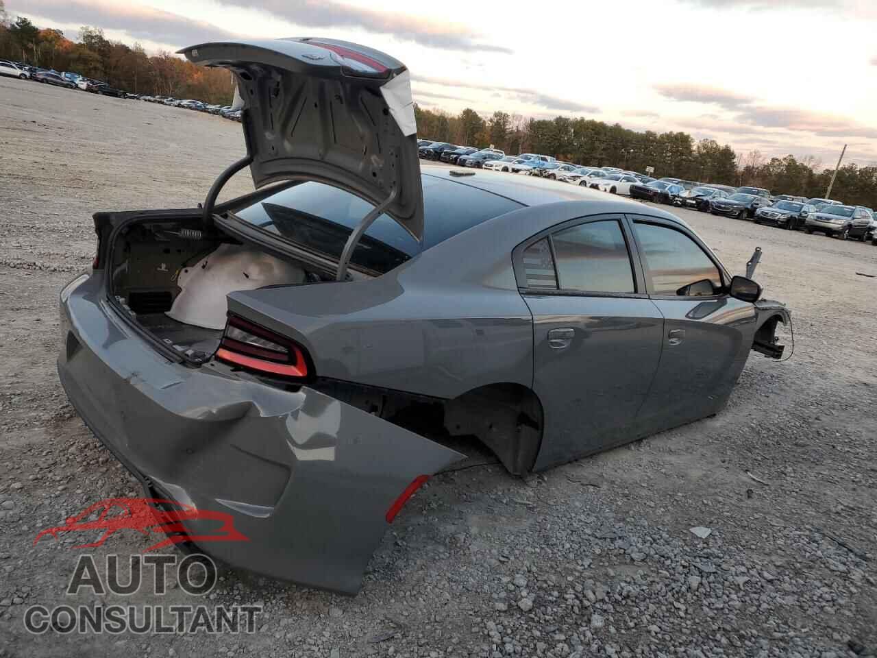 DODGE CHARGER 2019 - 2C3CDXGJ3KH697224