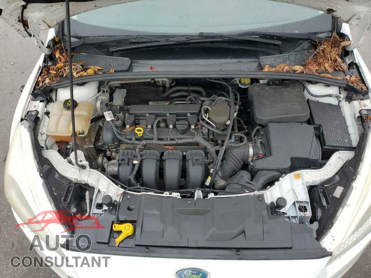 FORD FOCUS 2015 - 1FADP3F20FL280829