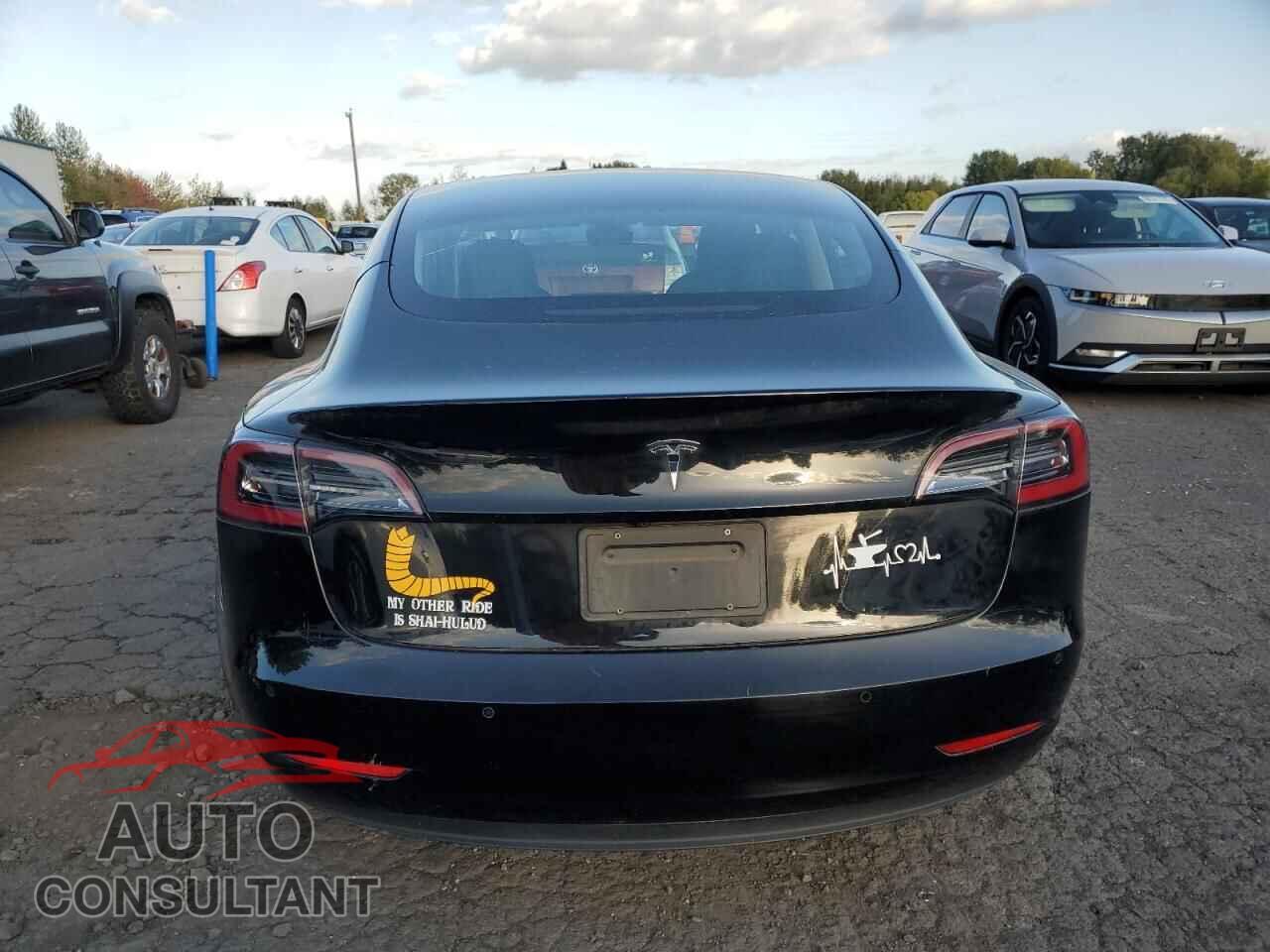 TESLA MODEL 3 2019 - 5YJ3E1EA2KF361918