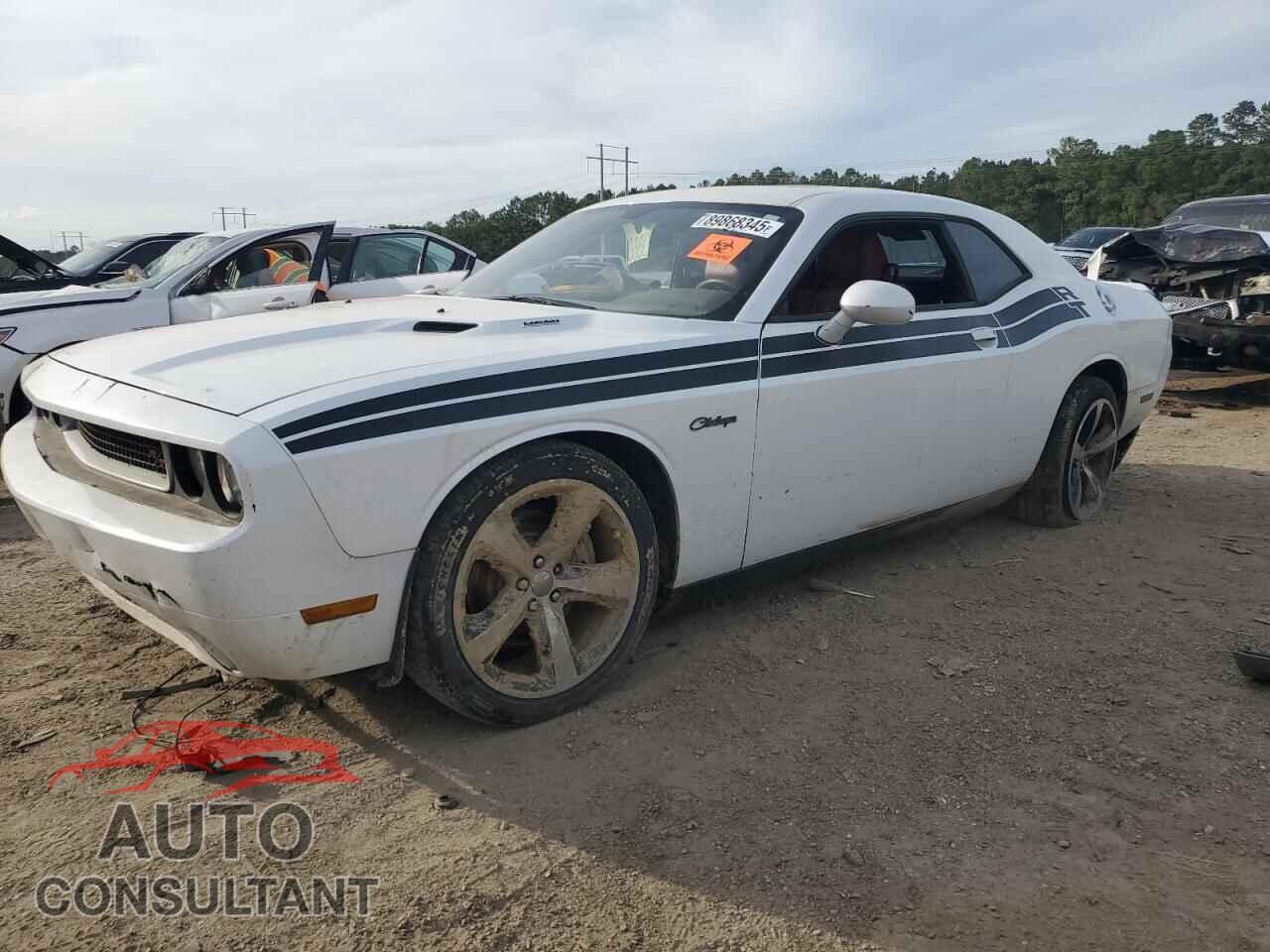 DODGE CHALLENGER 2014 - 2C3CDYBT1EH176828