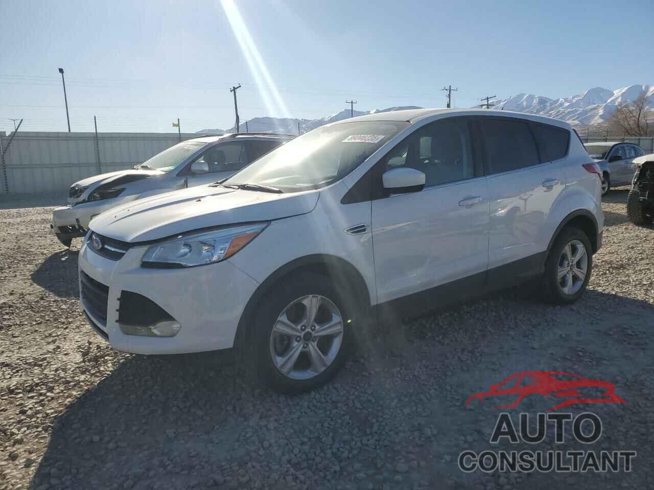 FORD ESCAPE 2014 - 1FMCU9GX6EUE50451