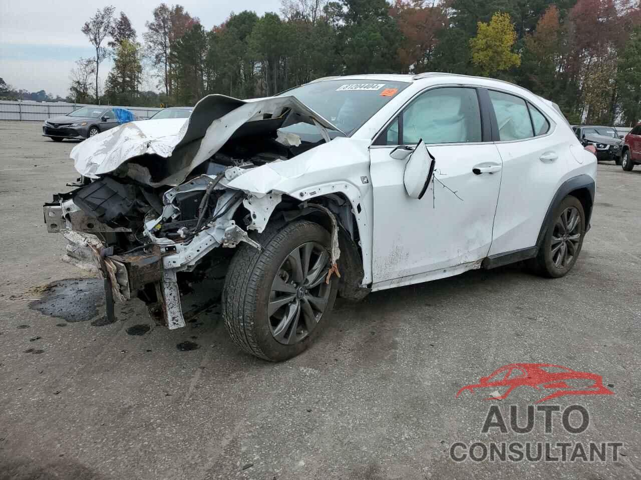 LEXUS UX 200 2019 - JTHY3JBH2K2015916