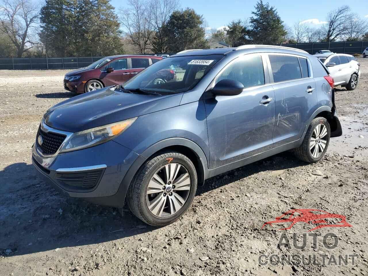 KIA SPORTAGE 2016 - KNDPC3AC8G7839881