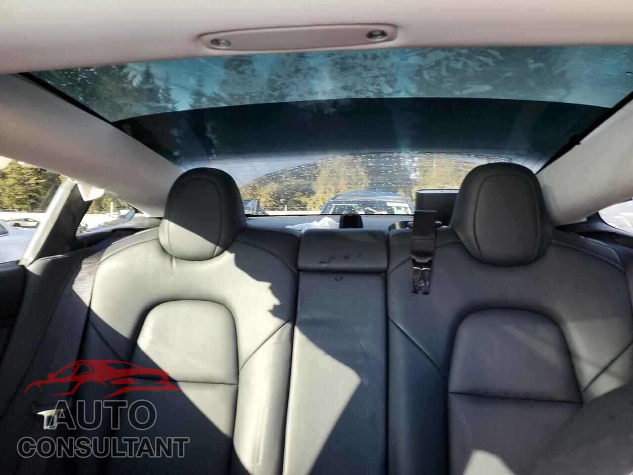TESLA MODEL 3 2019 - 5YJ3E1EA3KF485843