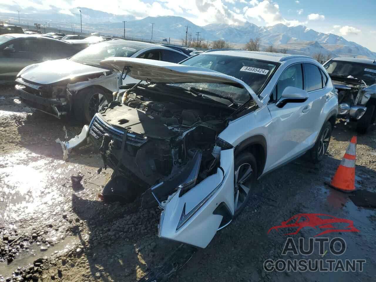 LEXUS NX 2020 - JTJGARDZ1L2234498