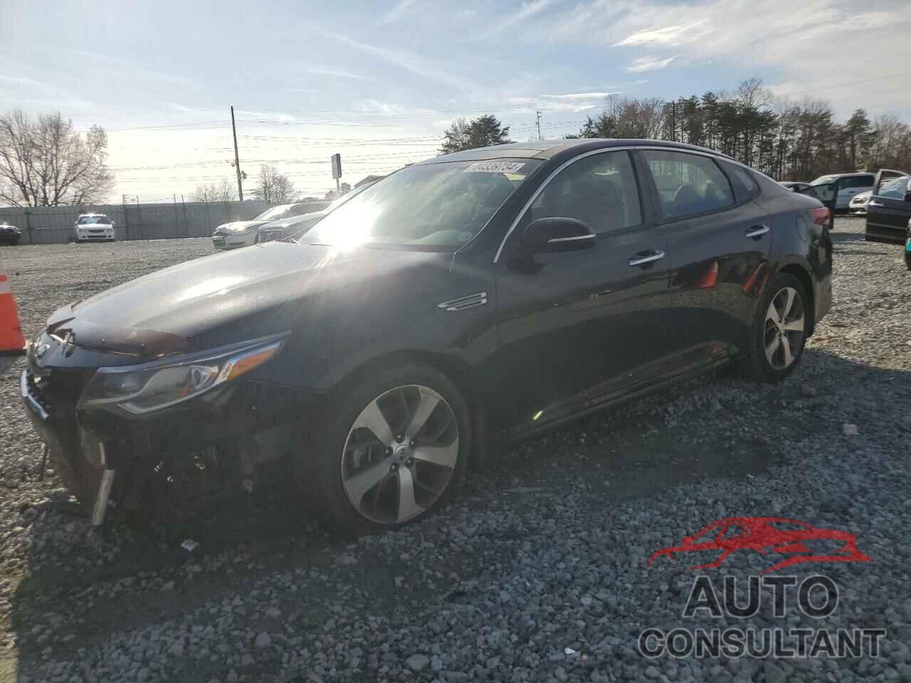 KIA OPTIMA 2019 - 5XXGT4L34KG303058