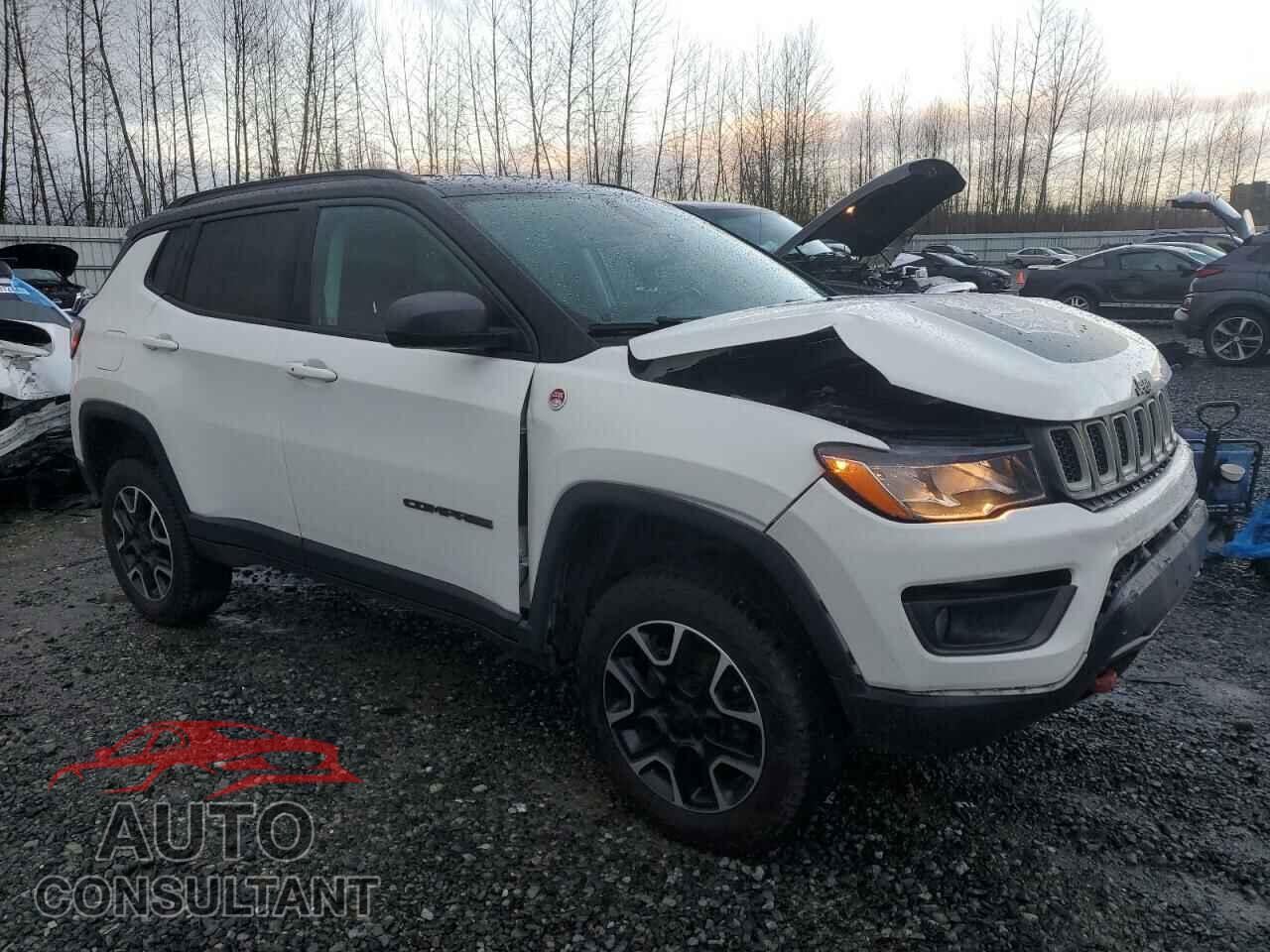 JEEP COMPASS 2020 - 3C4NJDDBXLT171965