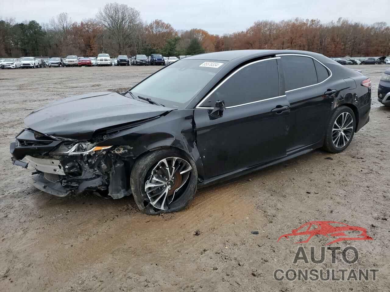 TOYOTA CAMRY 2019 - 4T1B11HKXKU729292