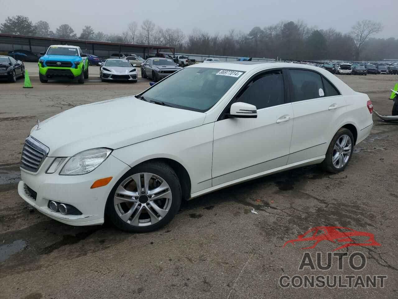 MERCEDES-BENZ E-CLASS 2010 - WDDHF5GB5AA207782